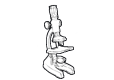 Microscopi diritti